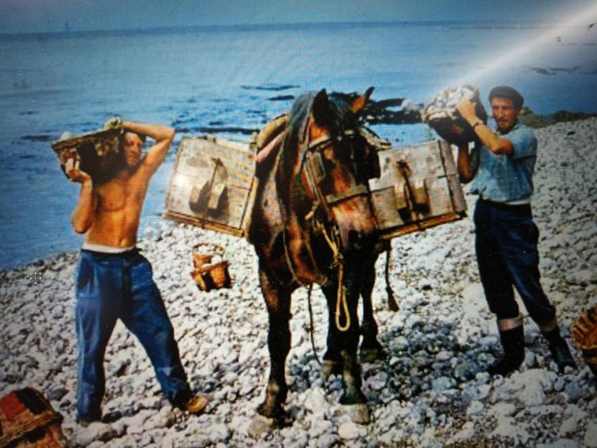 Les Embruns Daire Fécamp Dış mekan fotoğraf